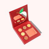 6 Colors Makeup Palette